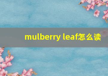 mulberry leaf怎么读